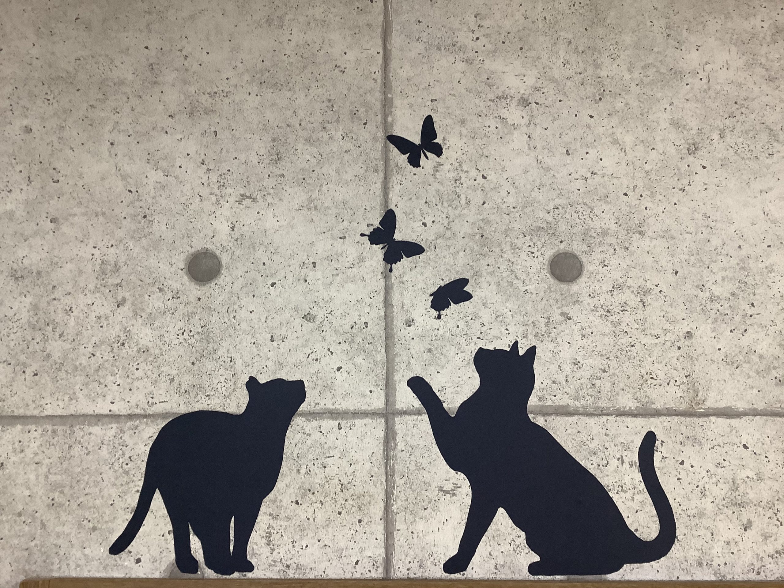 壁に猫貼ってみた 株式会社創建ハウジング 石川県金沢市